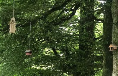 Bird Houses Raheen Woods Hotel Fairy Garden