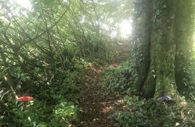 Fairy Trail Raheen Woods Hotel Fairy Garden