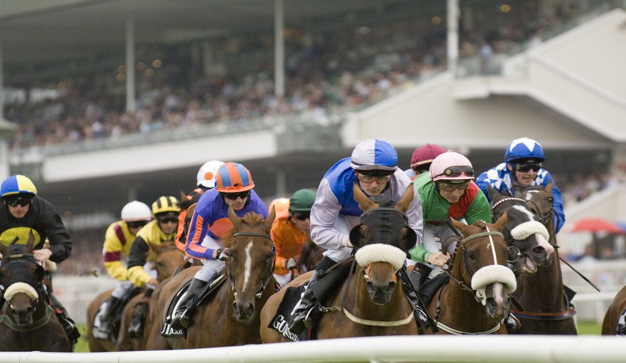 Galway Races Raheen Woods Hotel