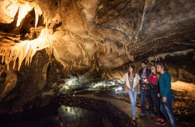 Ailwee Caves Day Trips Raheen Woods Hotel