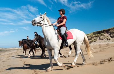 Inside Banner Equestrian