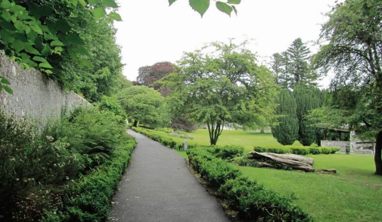 Coole Park Trees Raheen Woods Hotel (2)