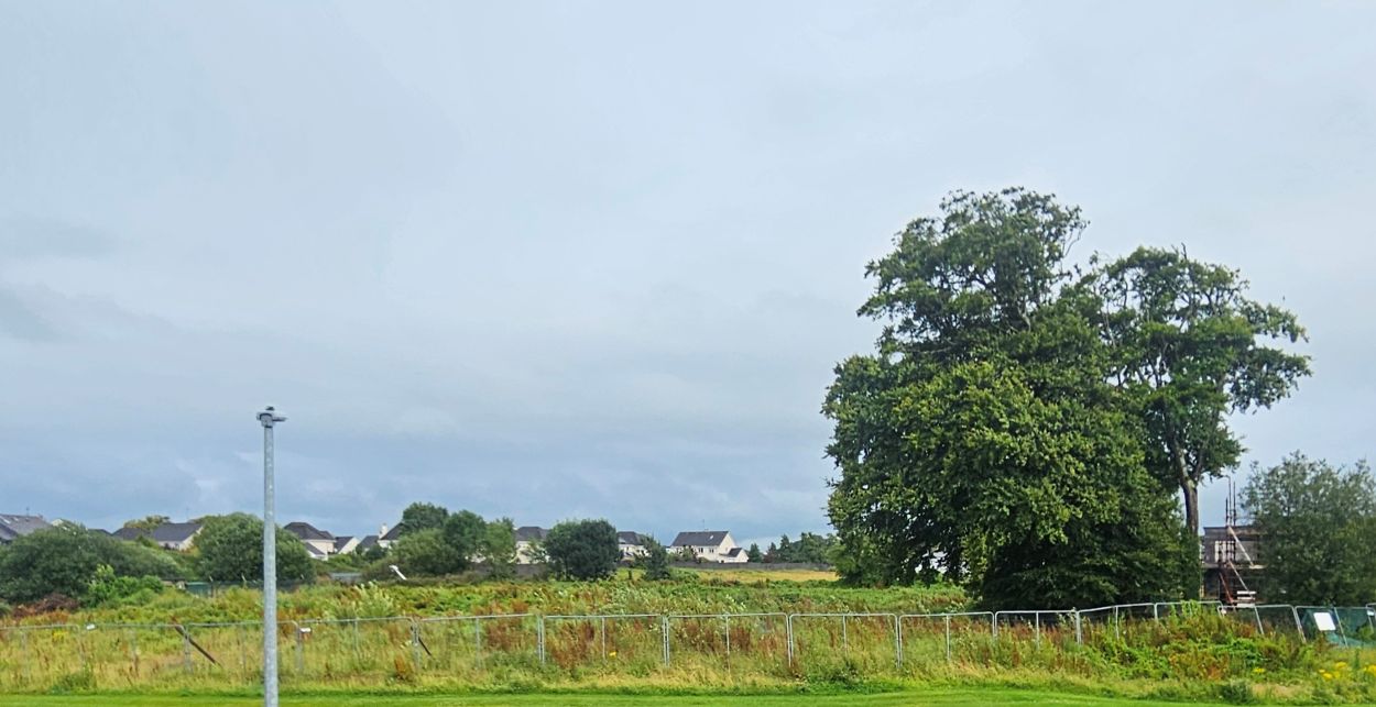 FIELD