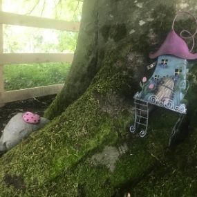 Fairy garden raheen woods hotel www.raheenwoodshotel.ie_v2