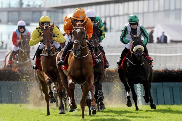 galway races