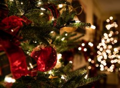 Magical Christmas Stays