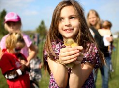                           Spring Has Sprung at Raheen Woods Hotel