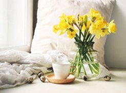 Begin your spring break with our amazing offers!